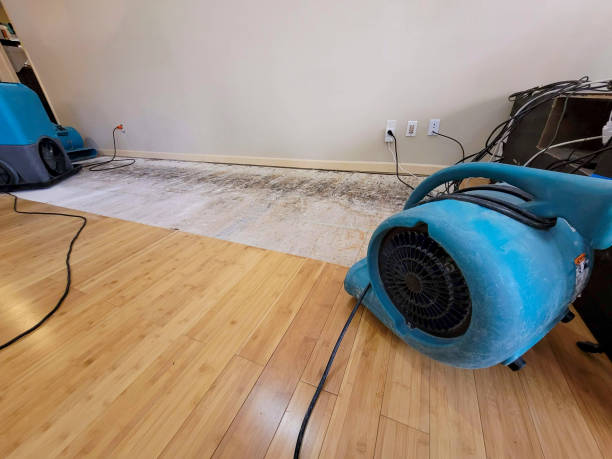 Professional Water Damage Repair technician working in Monroeville, AL